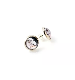 Barsoi, Russischer Jagdwindhund, Barzaia - Schmuckset in einer Schachtel, Halskette, Ohrringe, Armband, Produkte der Marke Art-Dog
