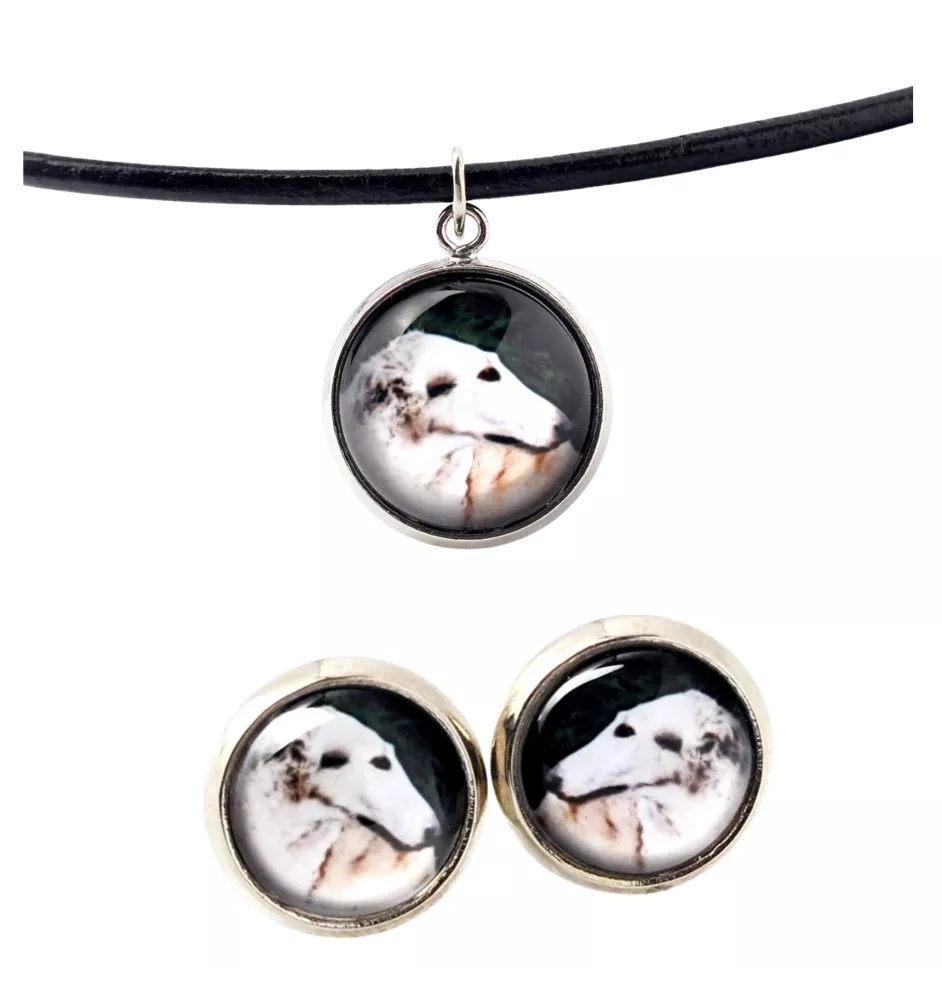 Barzoi, Levrier De Chasse Russe, Lévrier russe - boîte à bijoux avec votre photo, ensemble collier et boucles d'oreilles, produits personnalisés de la marque Art-Dog