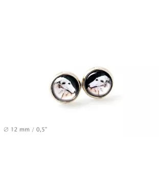 Barsoi, Russischer Jagdwindhund, Barzaia - Schmuck mit Ihrem Foto-Box, Halskette und Ohrringe-Set, personalisierte Produkte der Marke Art-Dog.