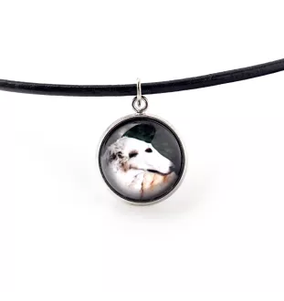 Barsoi, Russischer Jagdwindhund, Barzaia - Schmuckset mit Ihrem Foto, handgefertigtes Set, Armband und Halskette von Art.-Dog.