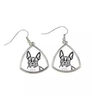 Terrier de Boston, Boston Terrier - boucles d'oreilles avec chien, boucles d'oreilles pendantes avec photo, bijoux personnalisés avec impression de la marque Art-Dog