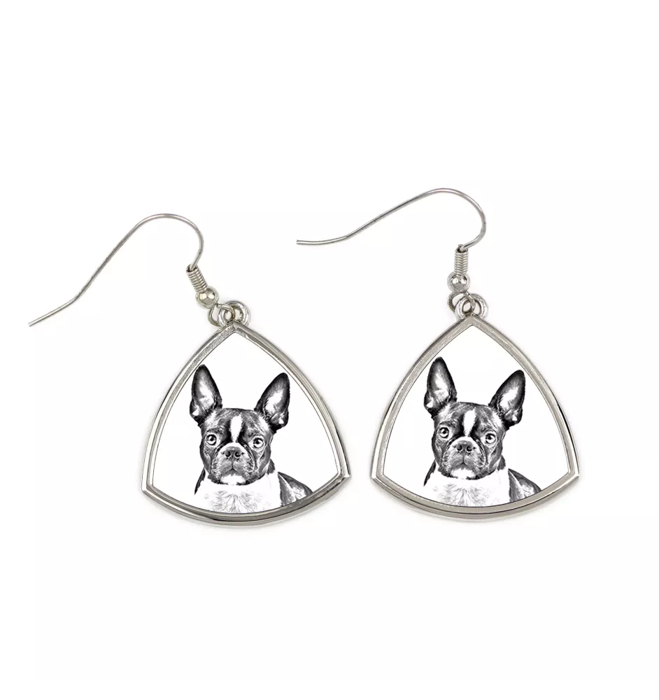 Terrier de Boston, Boston Terrier - boucles d'oreilles avec chien, boucles d'oreilles pendantes avec photo, bijoux personnalisés avec impression de la marque Art-Dog