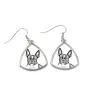 Terrier de Boston, Boston Terrier - boucles d'oreilles avec chien, boucles d'oreilles pendantes avec photo, bijoux personnalisés avec impression de la marque Art-Dog