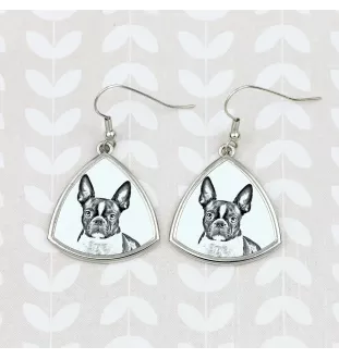Boston Terrier - Hund Ohrringe, hängende Ohrringe mit Bild, personalisierter Schmuck mit dem Aufdruck der Marke Art-Dog