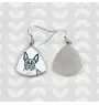 Boston Terrier - Hund Ohrringe, hängende Ohrringe mit Bild, personalisierter Schmuck mit dem Aufdruck der Marke Art-Dog