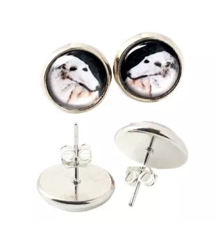 Barsoi, Russischer Jagdwindhund, Barzaia - Ohrringe in einer Schachtel, Ihr Foto, handgefertigter Schmuck, Eigenmarke von Art-Dog.