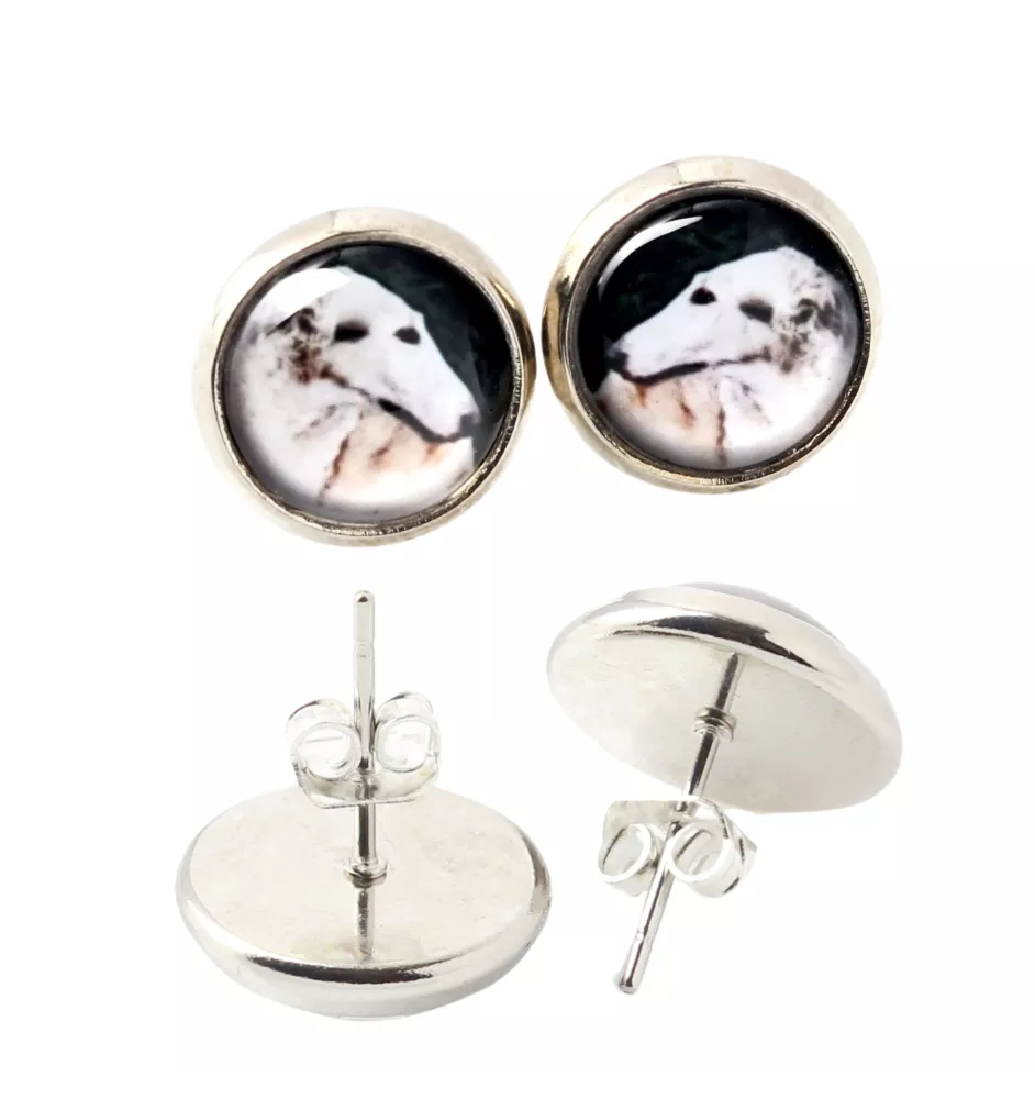 Barzoi, Levrier De Chasse Russe, Lévrier russe - boucles d'oreilles dans une boîte, votre photo, bijoux faits à la main, produit de la marque Art-Dog.