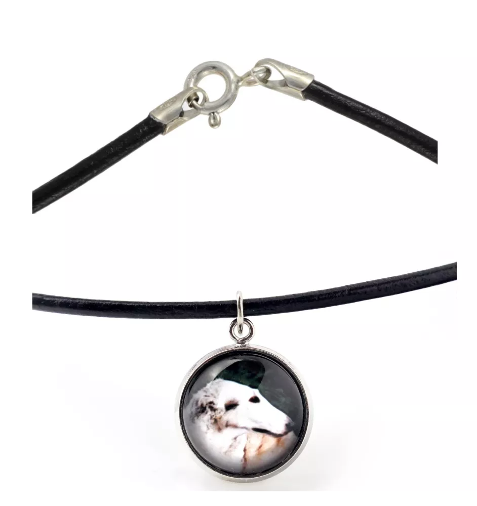 Barsoi, Russischer Jagdwindhund, Barzaia - Halskette in einer Schachtel, elegante Verzierung, Anhänger der Marke Art-Dog