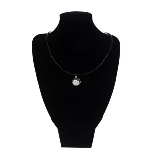 Barsoi, Russischer Jagdwindhund, Barzaia - Halskette in einer Schachtel, elegante Verzierung, Anhänger der Marke Art-Dog