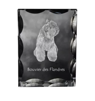 Flandrischer Treibhund, Bouvier des Flandres - Kristall mit einem Hundebild, Glasstatuette mit einem Bild, einzigartiger Bilderrahmen der Marke Art-Dog