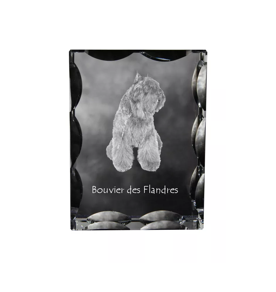 Flandrischer Treibhund, Bouvier des Flandres - Kristall mit einem Hundebild, Glasstatuette mit einem Bild, einzigartiger Bilderrahmen der Marke Art-Dog