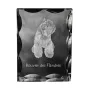 Flandrischer Treibhund, Bouvier des Flandres - Kristall mit einem Hundebild, Glasstatuette mit einem Bild, einzigartiger Bilderrahmen der Marke Art-Dog