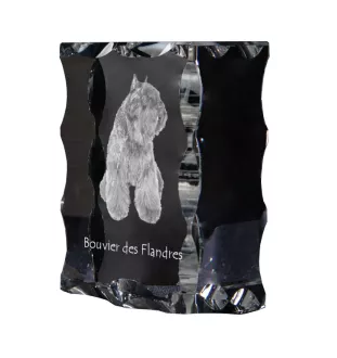 Bouvier des Flandres, Flanders Cattle Dog - crystal with a picture of a dog, glass statuette with a picture, unique frame with a picture from Art-Dog brand