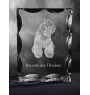 Bouvier des Flandres, Flanders Cattle Dog - crystal with a picture of a dog, glass statuette with a picture, unique frame with a picture from Art-Dog brand