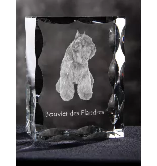Flandrischer Treibhund, Bouvier des Flandres - Kristall mit einem Hundebild, Glasstatuette mit einem Bild, einzigartiger Bilderrahmen der Marke Art-Dog