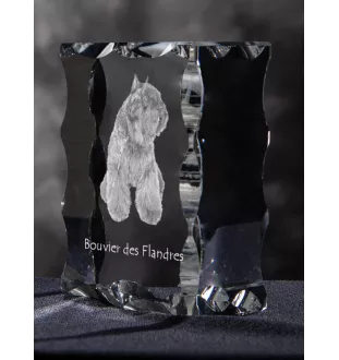 Flandrischer Treibhund, Bouvier des Flandres - Kristall mit einem Hundebild, Glasstatuette mit einem Bild, einzigartiger Bilderrahmen der Marke Art-Dog