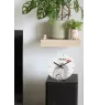 Flandrischer Treibhund, Bouvier des Flandres - Wanduhr mit Hund, Regal Uhr mit Druck, personalisierte Hausdekoration von Art-Dog.