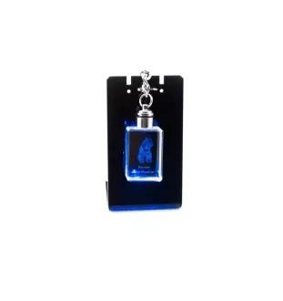 Bouvier des Flandres - Porte-clés en cristal avec photo de chien, porte-clés lumineux, cadeau unique de la marque Art-Dog