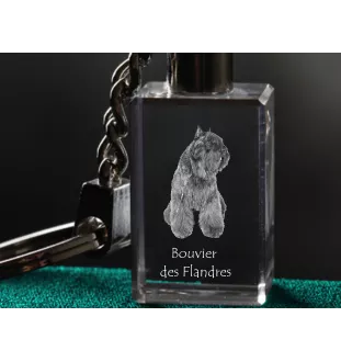 Flandrischer Treibhund, Bouvier des Flandres - Schlüsselanhänger aus Kristall mit Hundefoto, beleuchteter Schlüsselanhänger, einzigartiges Geschenk der Marke Art-Dog