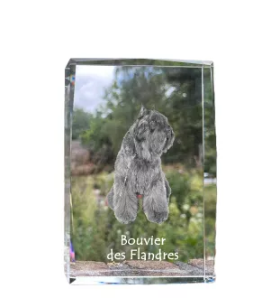 Bouvier des Flandres - cristal avec une photo de chien, photo sous verre, exposition moderne de la marque de photos Art-Dog
