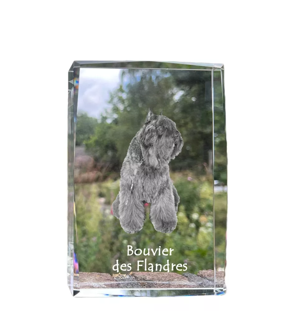 Bouvier des Flandres - cristal avec une photo de chien, photo sous verre, exposition moderne de la marque de photos Art-Dog