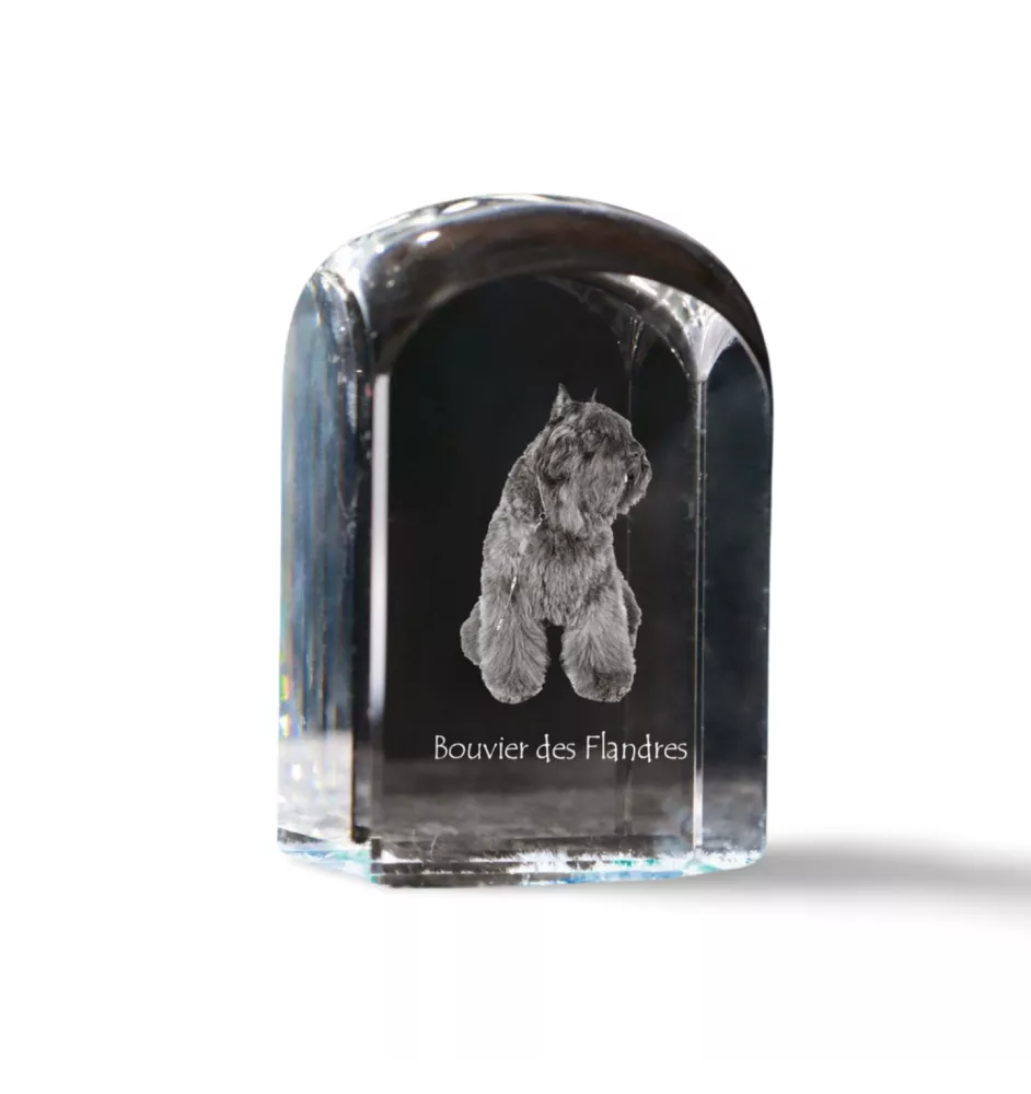 Bouvier des Flandres, Flanders Cattle Dog - crystal cube with a photo, photo of a dog in crystal, cubic paperweight from Art-Dog brand