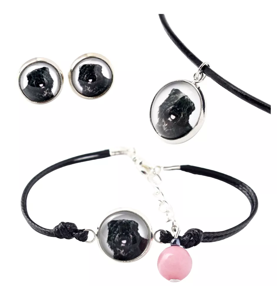 Bouvier des Flandres, Flanders Cattle Dog - a set of jewelry in a box, necklace, earrings, bracelet, products from the Art-Dog brand