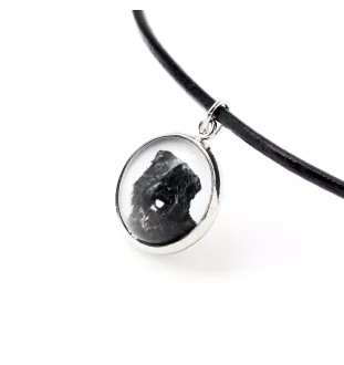 Flandrischer Treibhund, Bouvier des Flandres - Schmuckset in einer Schachtel, Halskette, Ohrringe, Armband, Produkte der Marke Art-Dog