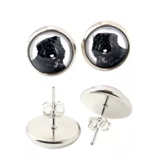 Bouvier des Flandres, Flanders Cattle Dog - earrings in a box, your photo, handmade jewelry, a product of the Art-Dog brand