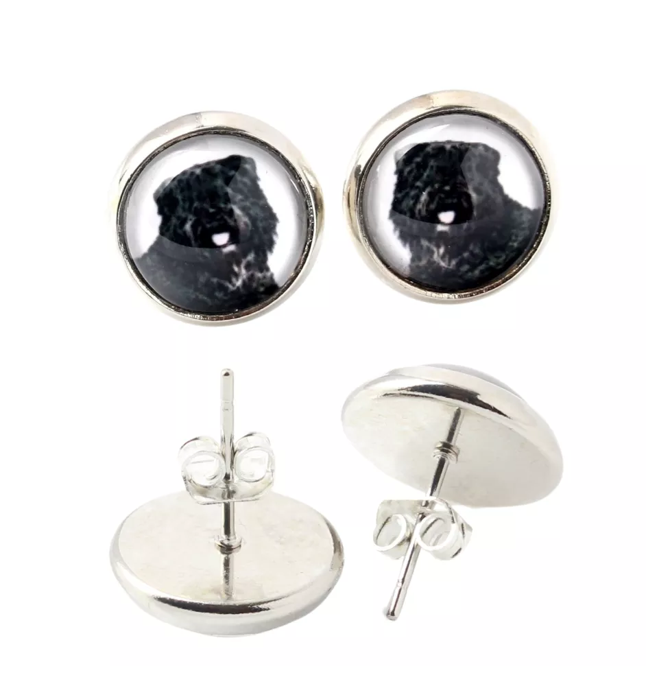 Bouvier des Flandres, Flanders Cattle Dog - earrings in a box, your photo, handmade jewelry, a product of the Art-Dog brand