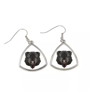 Bouvier des Flandres, Flanders Cattle Dog - earrings with a picture and the inscription geometric dog Art-Dog