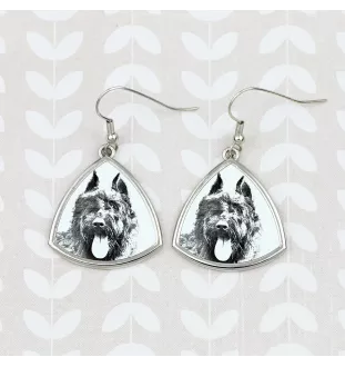 Bouvier des Flandres, Flanders Cattle Dog - dog earrings, hanging earrings with a picture, personalized jewelry with Art-Dog brand print