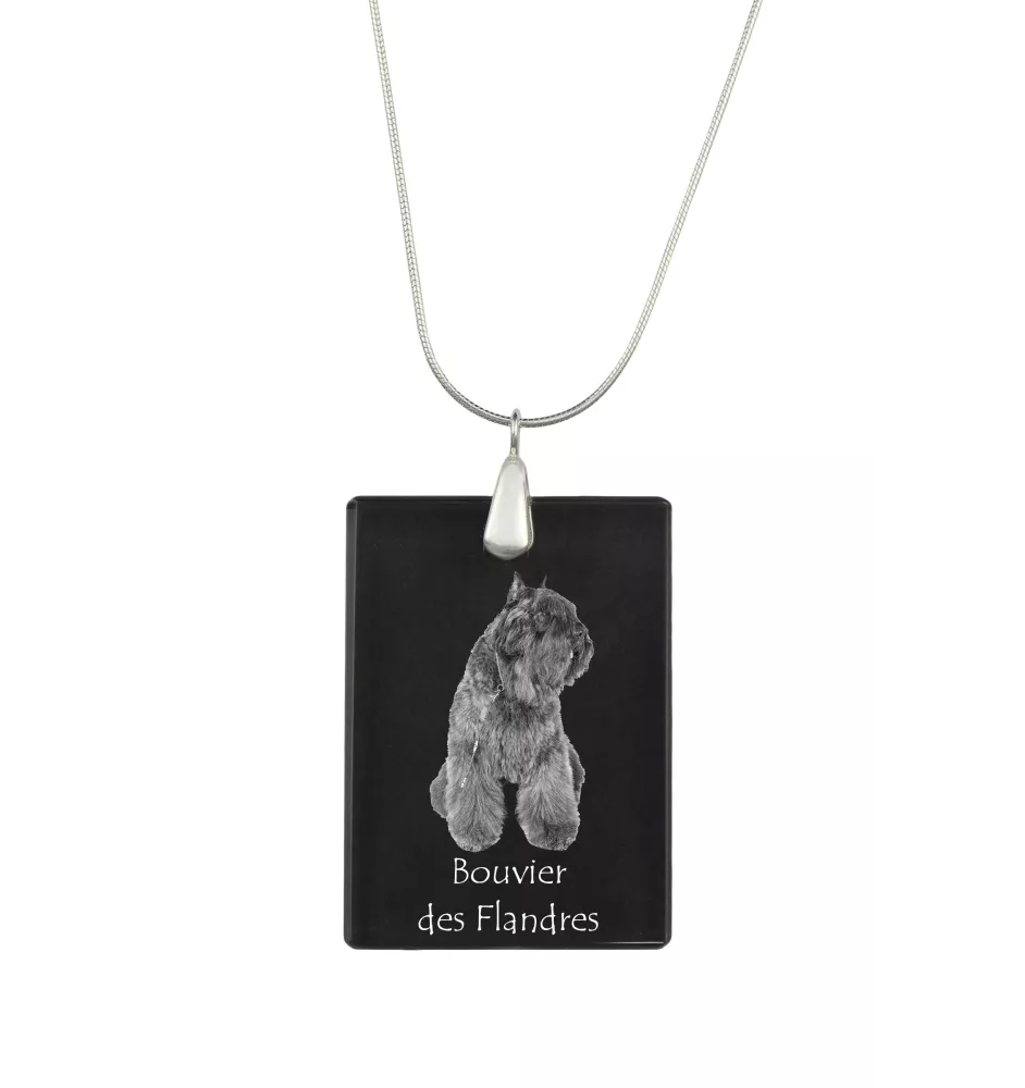 Flandrischer Treibhund, Bouvier des Flandres - Kristallanhänger mit Hund, Silberhalskette mit Foto, personalisierter Anhänger der Marke Art-Dog