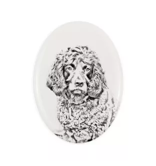 Boykin Spaniel płyta nagrobna ze zdjęciem psa Art-Dog