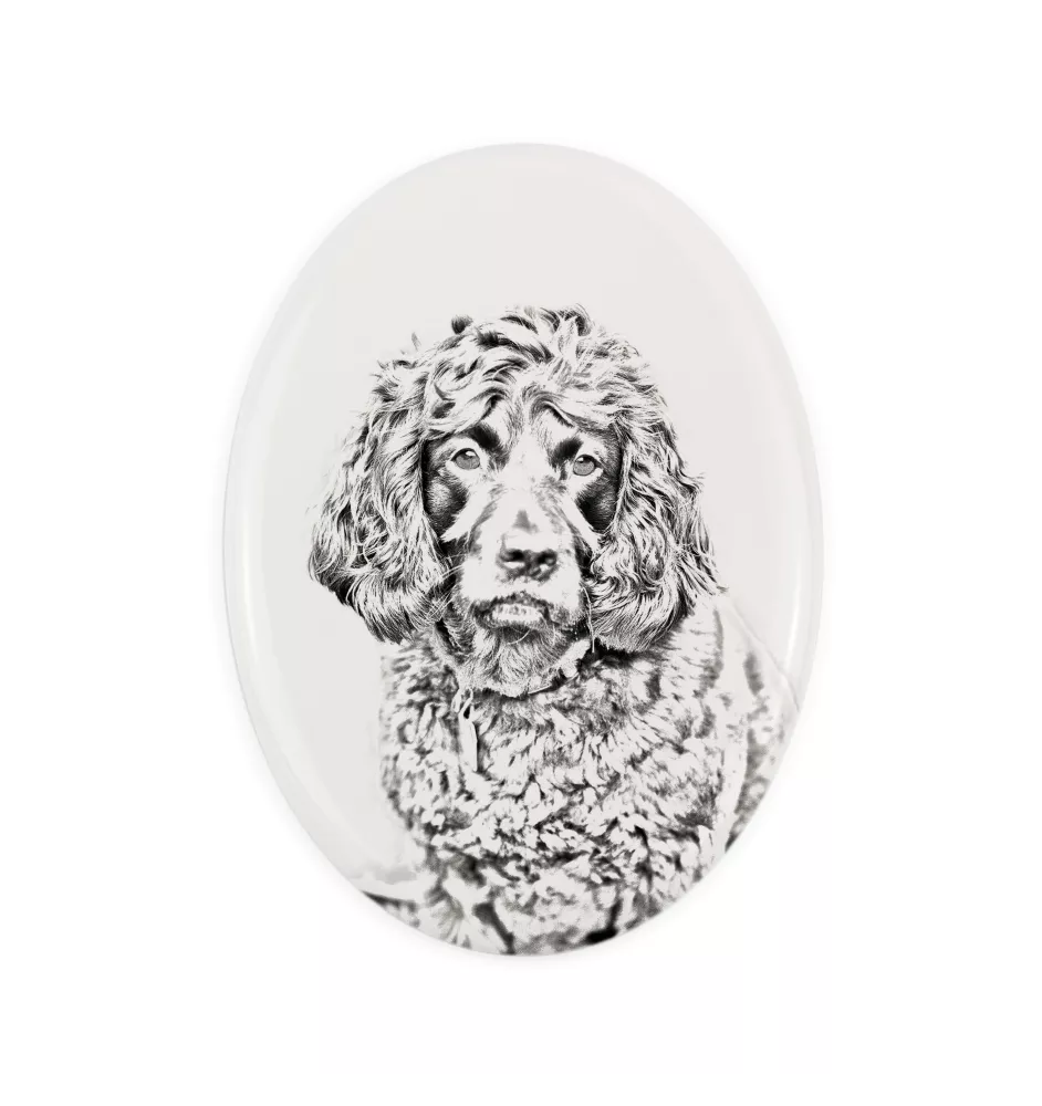 Boykin Spaniel - une plaque commémorative avec une photo de chien, une plaque funéraire avec une impression, une plaque ovale personnalisée de la marque Art-Dog