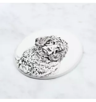 Boykin Spaniel, Swamp Poodle - commemorative plaque with a photo of a dog, tombstone with a print, personalized oval plaque from the Art-Dog brand