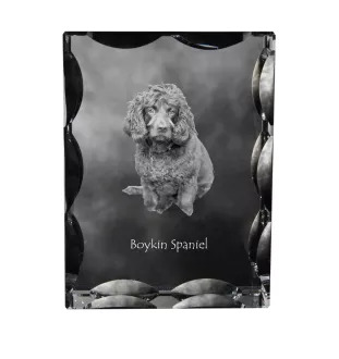 Boykin Spaniel, Swamp Poodle - crystal with a picture of a dog, glass statuette with a picture, unique frame with a picture from Art-Dog brand