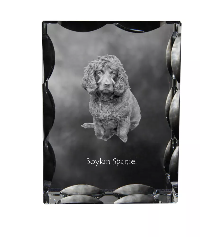 Boykin Spaniel, Swamp Poodle - crystal with a picture of a dog, glass statuette with a picture, unique frame with a picture from Art-Dog brand