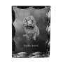 Boykin Spaniel, Swamp Poodle - crystal with a picture of a dog, glass statuette with a picture, unique frame with a picture from Art-Dog brand