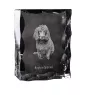 Boykin Spaniel, Swamp Poodle - crystal with a picture of a dog, glass statuette with a picture, unique frame with a picture from Art-Dog brand
