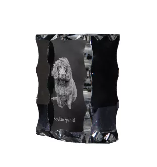 Boykin Spaniel - Kristall mit einem Hundebild, Glasstatuette mit einem Bild, einzigartiger Bilderrahmen der Marke Art-Dog