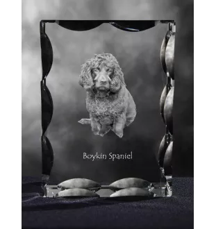 Boykin Spaniel, Swamp Poodle - crystal with a picture of a dog, glass statuette with a picture, unique frame with a picture from Art-Dog brand