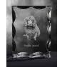 Boykin Spaniel, Swamp Poodle - crystal with a picture of a dog, glass statuette with a picture, unique frame with a picture from Art-Dog brand