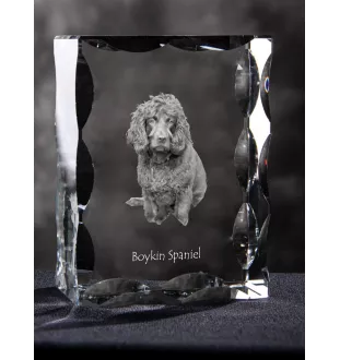 Boykin Spaniel - cristal avec photo de chien, statuette en verre avec photo, cadre exceptionnel avec photo de la marque Art-Dog