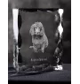 Boykin Spaniel, Swamp Poodle - crystal with a picture of a dog, glass statuette with a picture, unique frame with a picture from Art-Dog brand