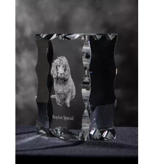 Boykin Spaniel, Swamp Poodle - crystal with a picture of a dog, glass statuette with a picture, unique frame with a picture from Art-Dog brand