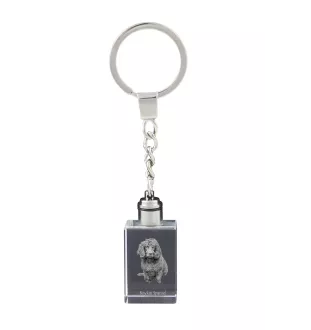 Boykin Spaniel, Swamp Poodle - Crystal key ring with dog photo, illuminated key ring, unique gift by Art-Dog brand