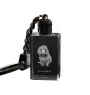 Boykin Spaniel, Swamp Poodle - Crystal key ring with dog photo, illuminated key ring, unique gift by Art-Dog brand