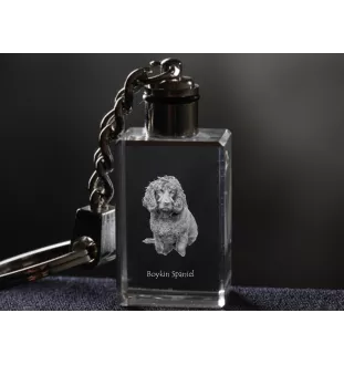 Boykin Spaniel, Swamp Poodle - Crystal key ring with dog photo, illuminated key ring, unique gift by Art-Dog brand