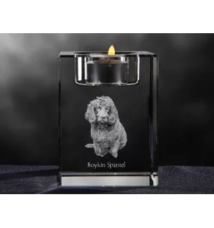 Boykin Spaniel - Kerzenhalter mit Hundefoto, Teelichthalter aus Kristall, personalisiertes Geschenk der Marke Art-Dog